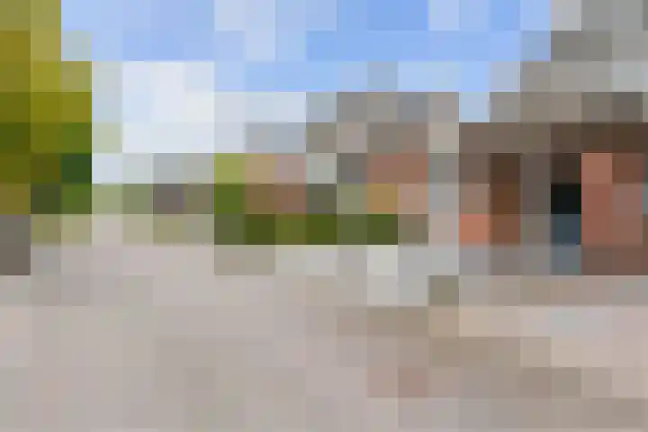 Snepper 15 Franeker thumbnail 9