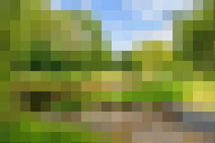 Snepper 23 Franeker thumbnail 10
