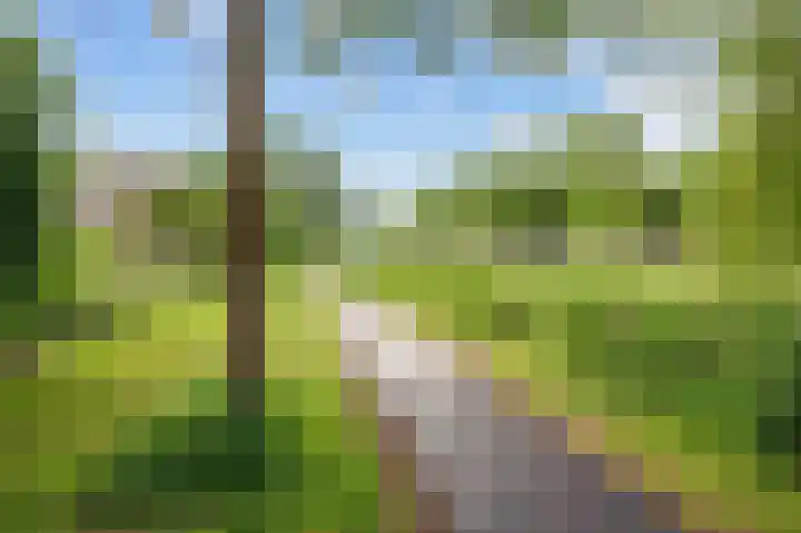Snepper 23 Franeker thumbnail 11