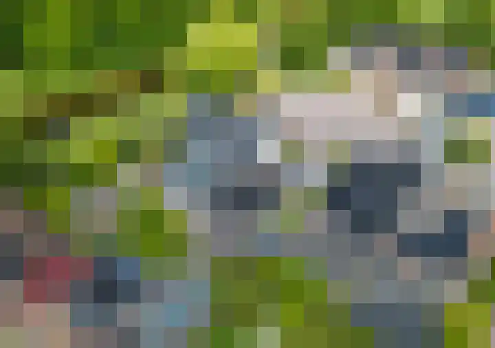 Snepper 23 Franeker thumbnail 13