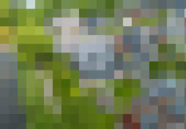 Snepper 23 Franeker thumbnail 14