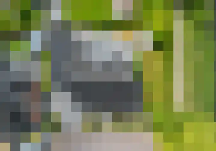 Snepper 23 Franeker thumbnail 15