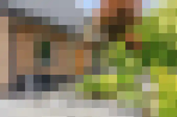 Snepper 23 Franeker thumbnail 17