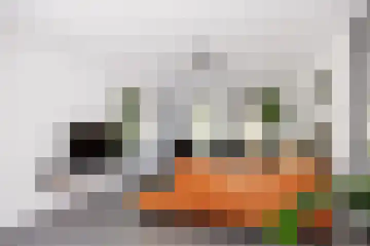 Snepper 23 Franeker thumbnail 21