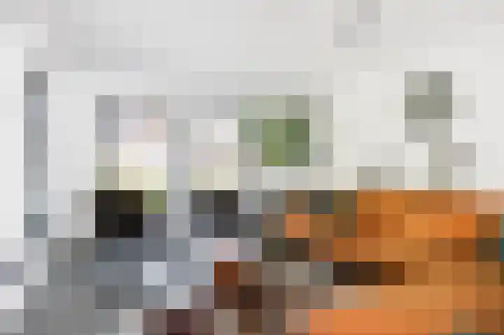 Snepper 23 Franeker thumbnail 23