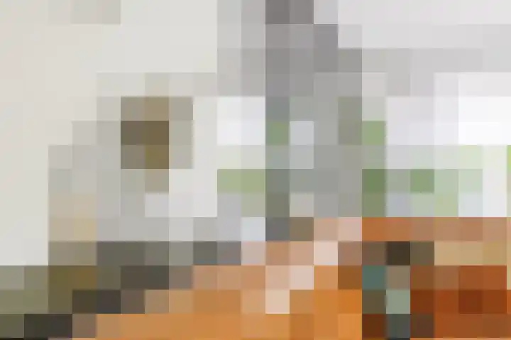Snepper 23 Franeker thumbnail 25