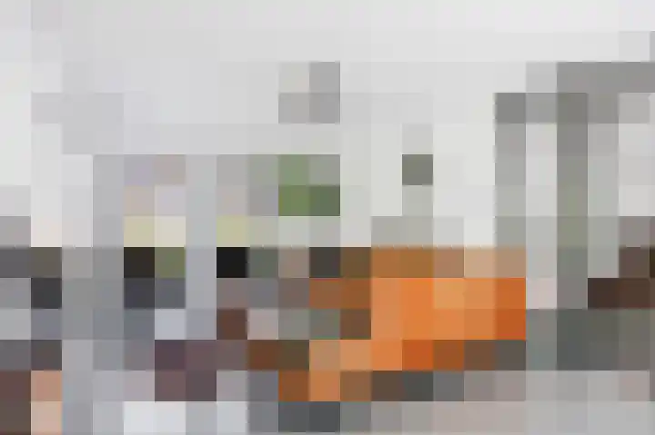 Snepper 23 Franeker thumbnail 26