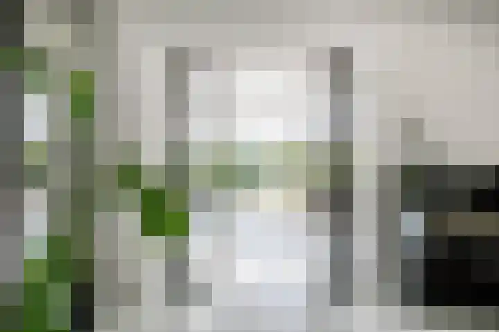 Snepper 23 Franeker thumbnail 27