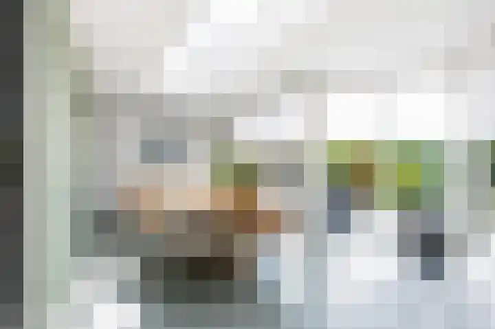 Snepper 23 Franeker thumbnail 28