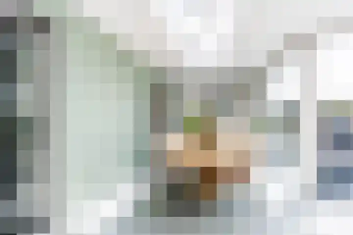 Snepper 23 Franeker thumbnail 30