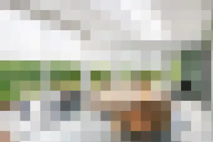 Snepper 23 Franeker thumbnail 31