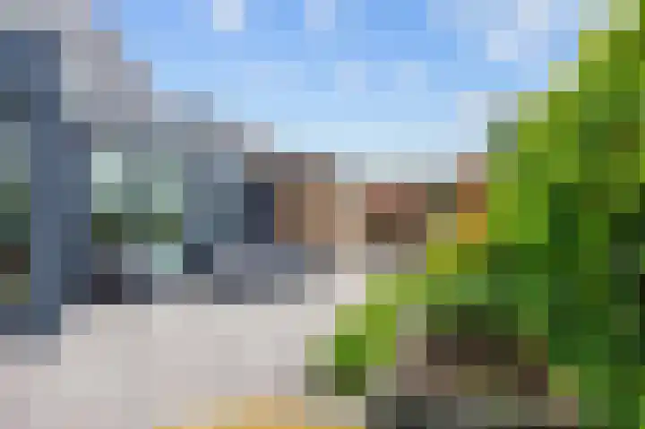 Snepper 23 Franeker thumbnail 33