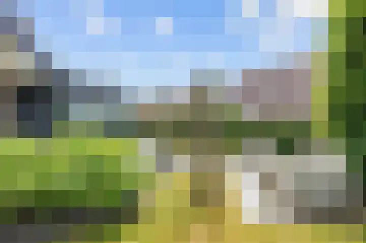Snepper 23 Franeker thumbnail 36