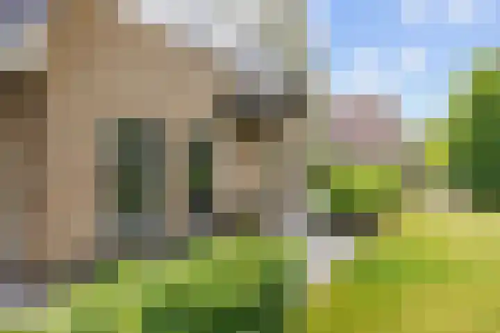 Snepper 23 Franeker thumbnail 38