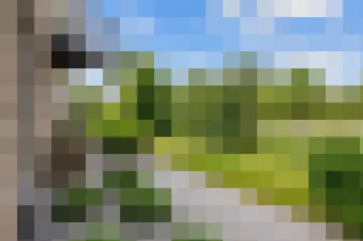 Snepper 23 Franeker thumbnail 39
