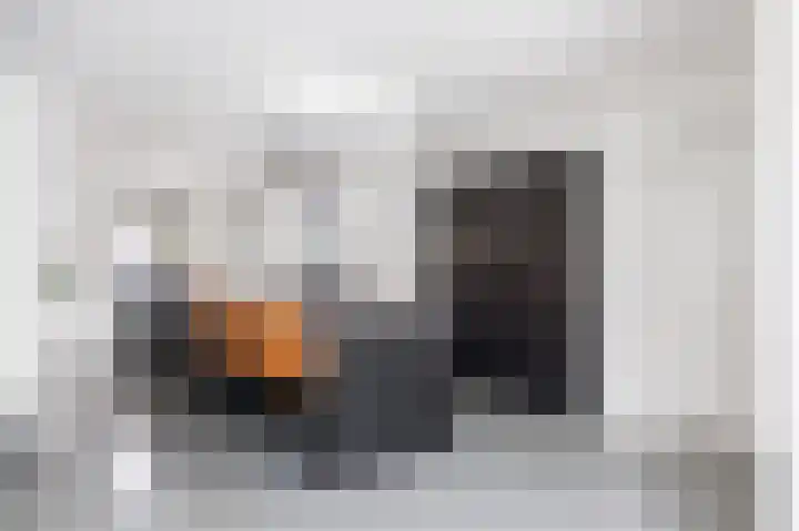 Snepper 23 Franeker thumbnail 40