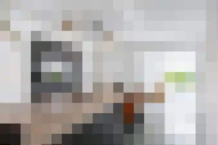 Snepper 23 Franeker thumbnail 41