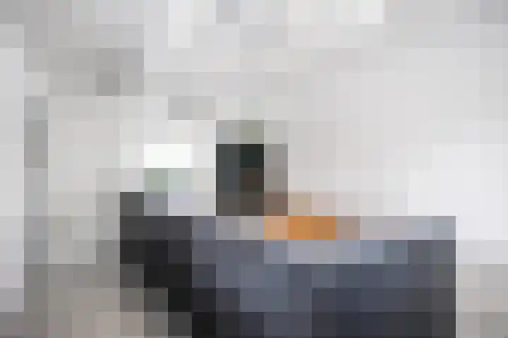 Snepper 23 Franeker thumbnail 42