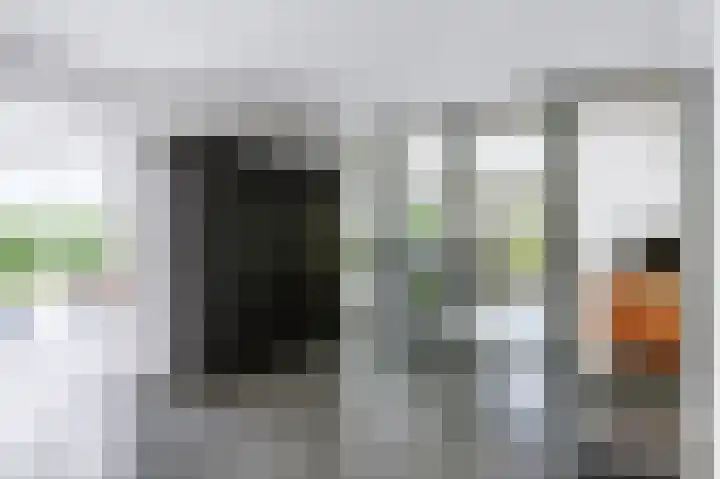 Snepper 23 Franeker thumbnail 44