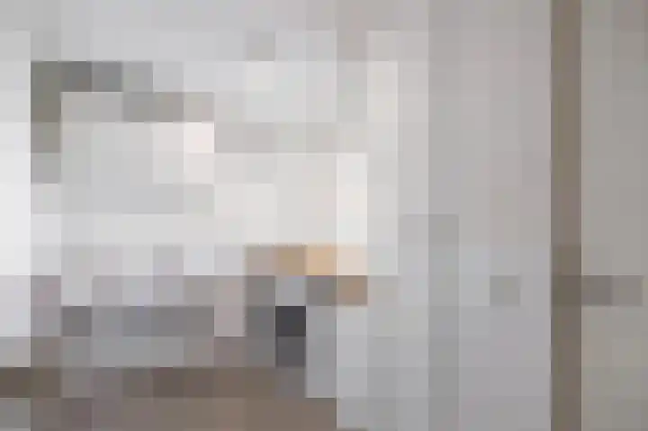 Snepper 23 Franeker thumbnail 45