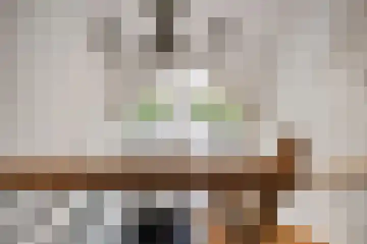 Snepper 23 Franeker thumbnail 47