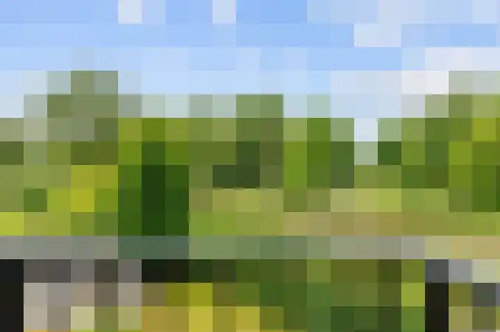 Snepper 23 Franeker thumbnail 50