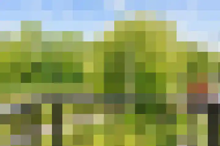 Snepper 23 Franeker thumbnail 51