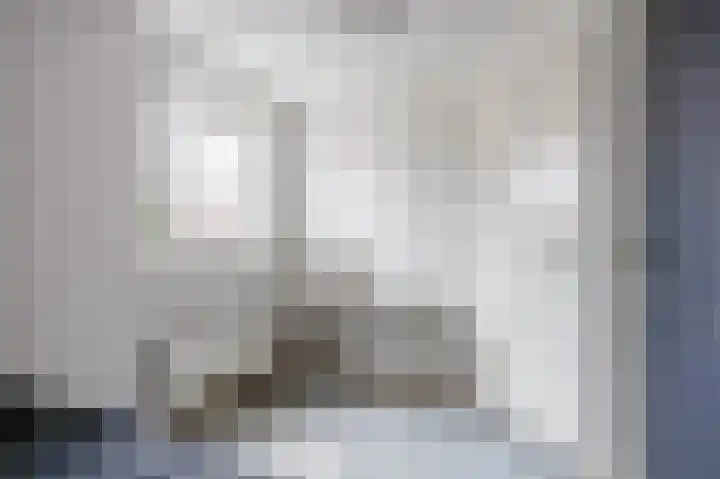 Snepper 23 Franeker thumbnail 53