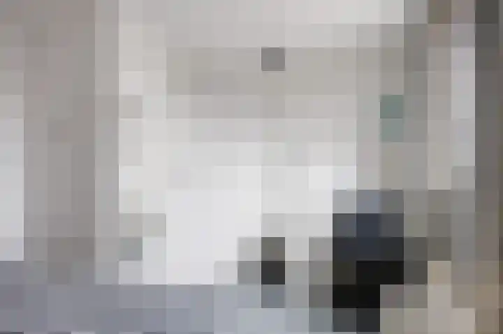 Snepper 23 Franeker thumbnail 55
