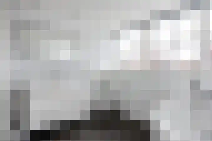 Snepper 23 Franeker thumbnail 56