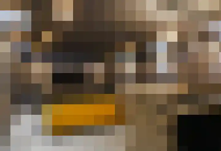 Snepper 23 Franeker thumbnail 68