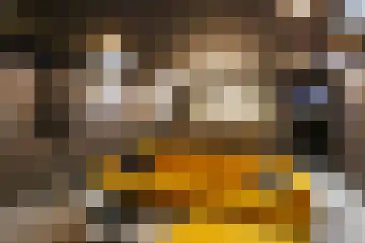 Snepper 23 Franeker thumbnail 69