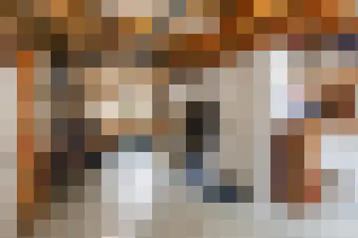 Snepper 23 Franeker thumbnail 70