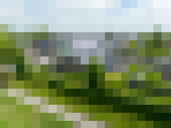 Snepper 23 Franeker thumbnail 72