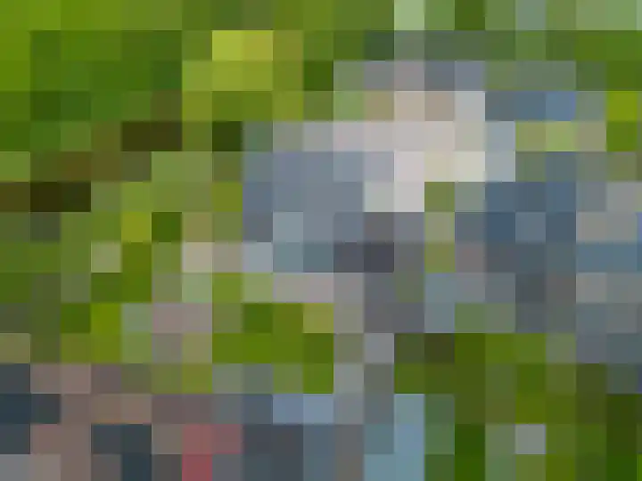 Snepper 23 Franeker thumbnail 74