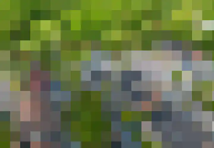 Snepper 23 Franeker thumbnail 75