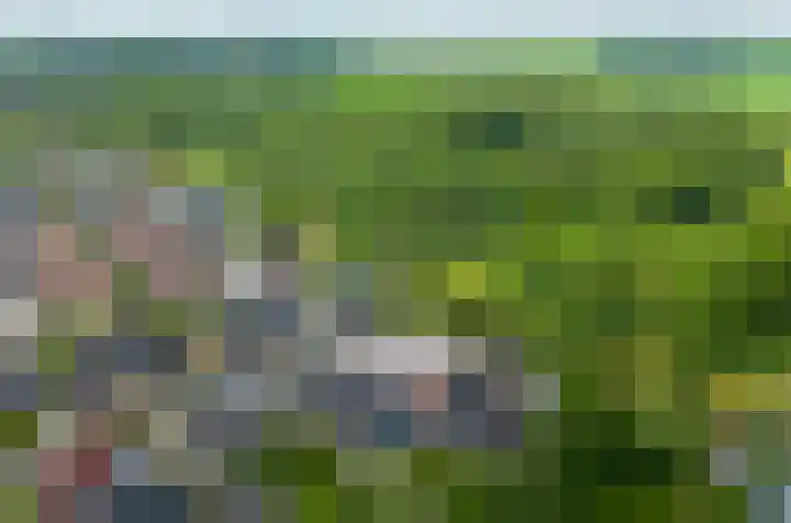 Snepper 23 Franeker thumbnail 76