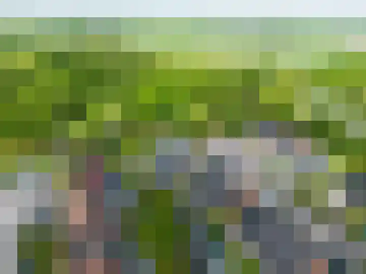 Snepper 23 Franeker thumbnail 77