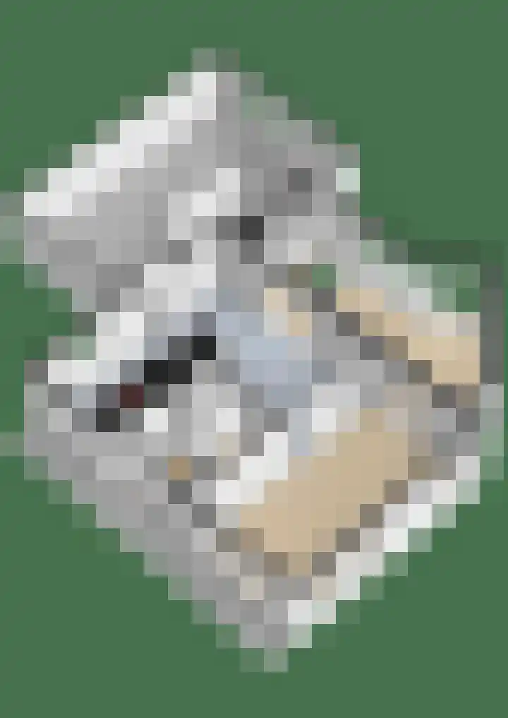 Snepper 23 Franeker thumbnail 79