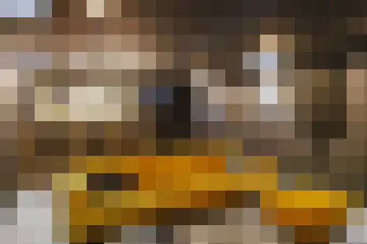 Snepper 23 Franeker thumbnail 8