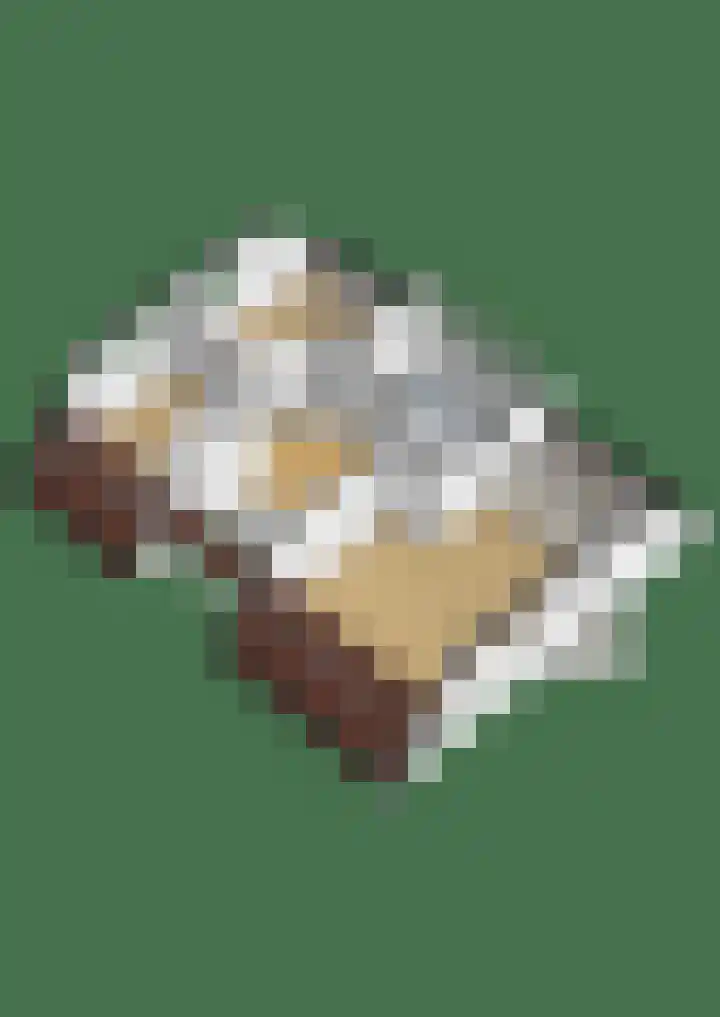 Snepper 23 Franeker thumbnail 81