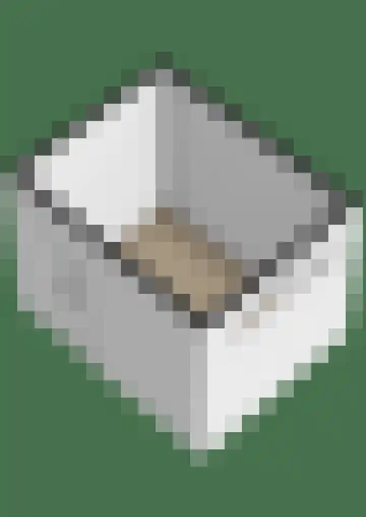 Snepper 23 Franeker thumbnail 87