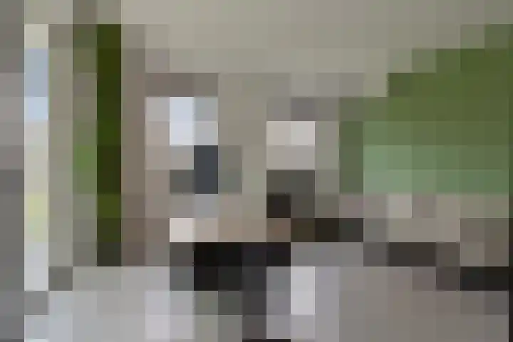 Snepweg 26 Heusden thumbnail 25
