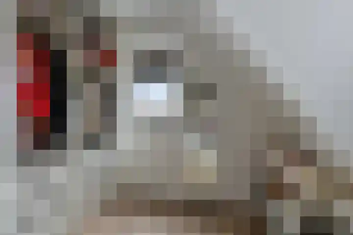 Snepweg 26 Heusden thumbnail 33