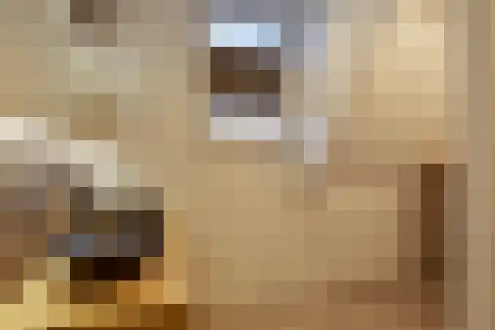 Snepweg 26 Heusden thumbnail 4