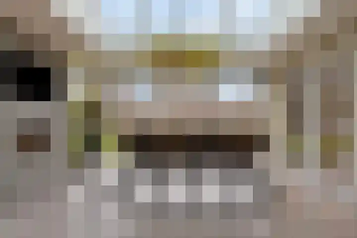 Snepweg 26 Heusden thumbnail 42