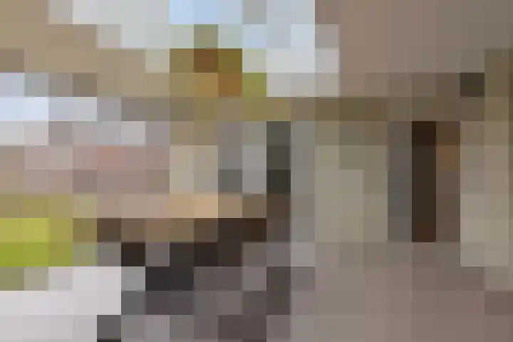 Snepweg 26 Heusden thumbnail 43