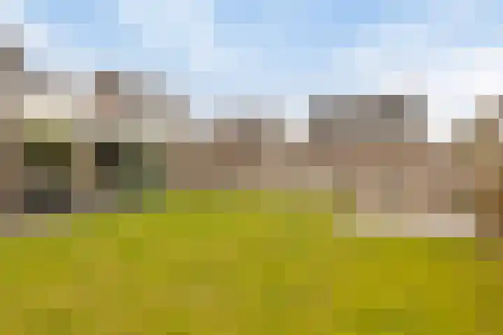 Snepweg 26 Heusden thumbnail 44