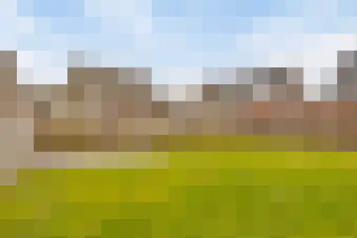 Snepweg 26 Heusden thumbnail 45