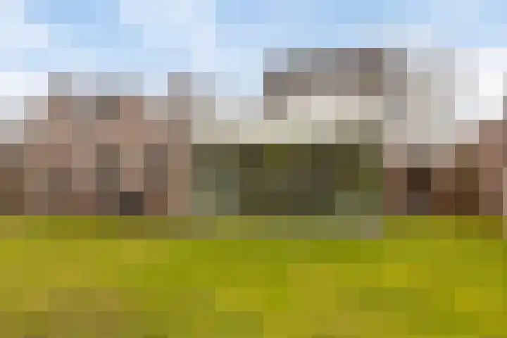 Snepweg 26 Heusden thumbnail 5